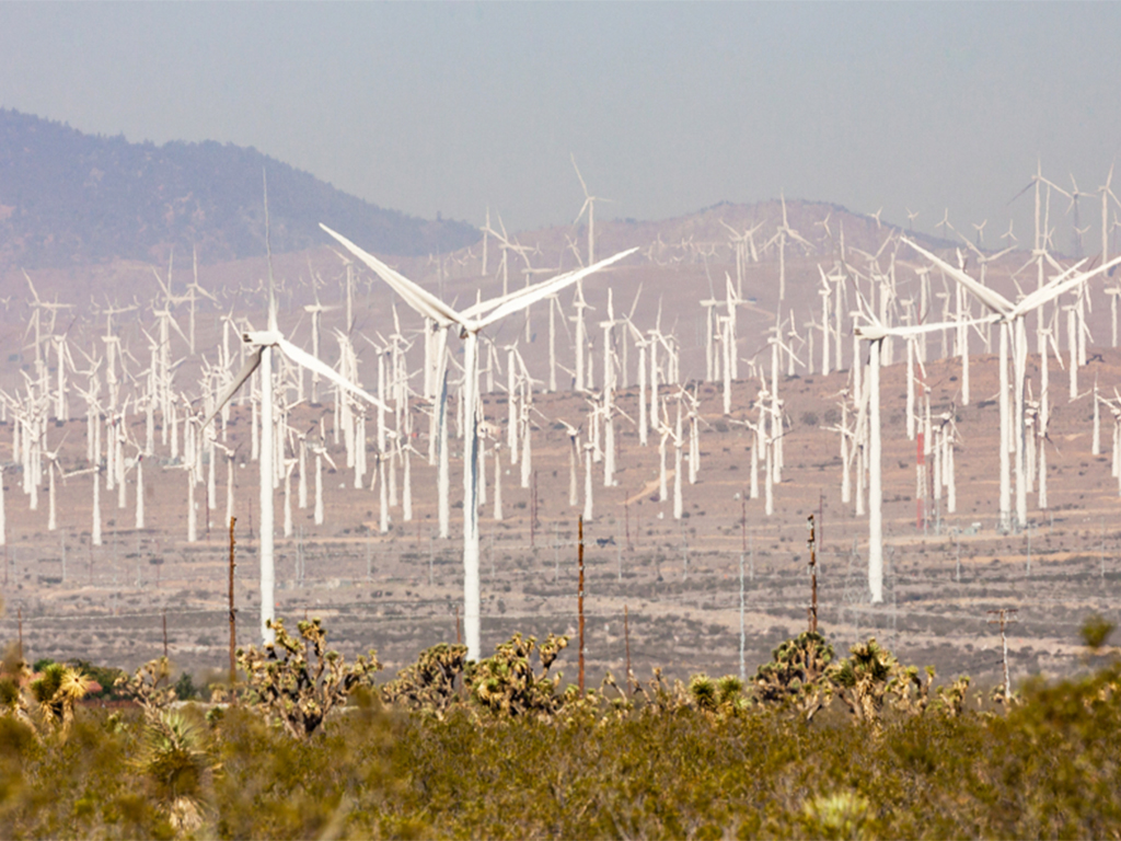 Balsa en Ecuador 7 Energías renovables en China, selvas vaciadas en